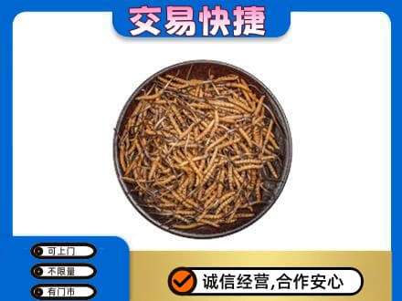 太白县高价回收散虫草